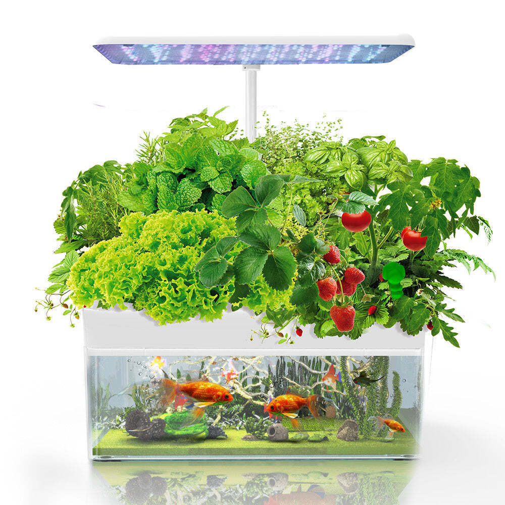 NNEMB 12 Pod Indoor Hydroponic Growing System with Fish Tank