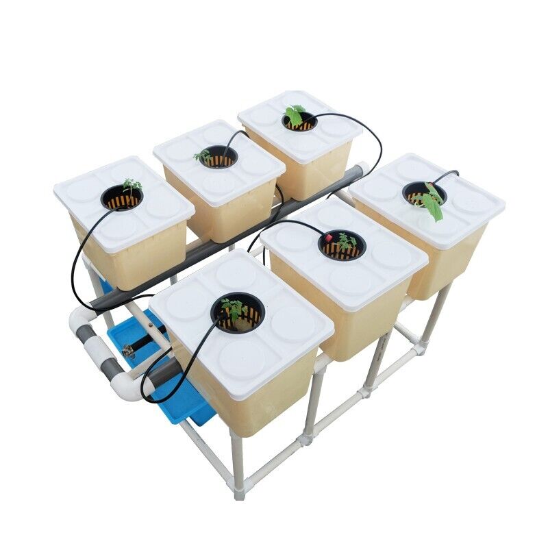 6 X Hydroponics Dutch/Bato Buckets self watering system system with stand