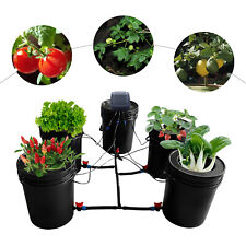 Hydroponics Grow System Kit 5 Gallon Buckets Deep Water Culture Irrigation Syste picture