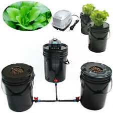 Deep Water Culture DWC Hydroponic Grow System Kit 5 Gal 3 Buckets With Air Pump picture