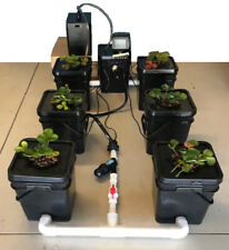 Southern Hydroponics Recirculating Deep Water Culture(RWDC) 1+6 Hydro System  picture