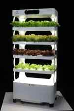 Smart Indoor Hydroponics Self Watering system picture
