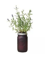 Modern Sprout Garden Jar - Grow with Self Watering Indoor Garden Kit - Lavender picture