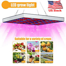 5000W 3000W 2000W 1500W 1000W LED Grow Light Full Spectrum Hydroponic Veg Flower picture