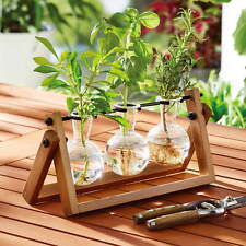 Painted Rectangle Glass and Wood Propagation Station Set, 11.3 in x 4.3 in x 5.5 picture