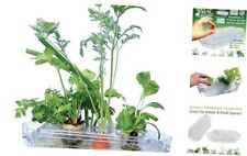 Indoor Gardening System/Small/No Electricity Needed/All Year Round/Hydroponic  picture
