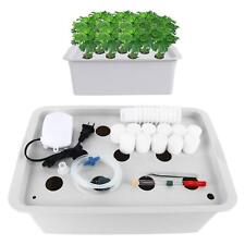 Homend 11 Sites Indoor Hydroponic Grow Kit with Bubble Stone for Herb Garden picture