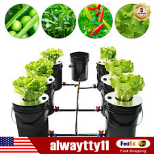 Hydroponic Deep Water Culture 6 Plant Bucket Grow System Kit Complete+Pump US picture