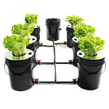 5 Gallon 6 Buckets DWC Hydroponics Growing System Recirculating Growing Kit picture