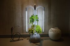 The Counter Tower- Tabletop Hydroponic Grow Tower with Lighting System 12 plants picture